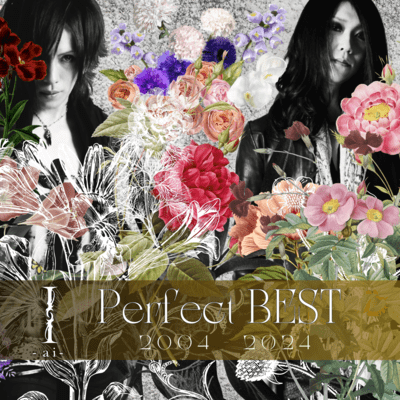 Perfect BEST (2004-2024) Front Cover