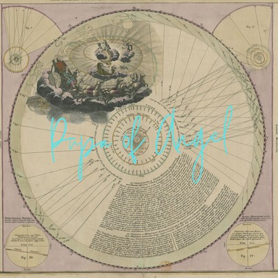 Pupa of Angel Front Cover