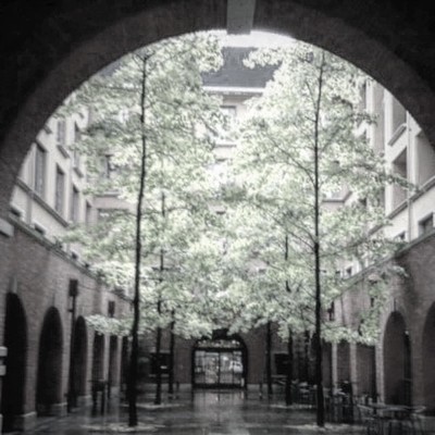 In Rainbow Front Cover