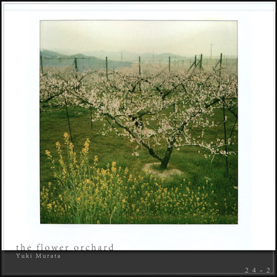 the flower orchard Front Cover