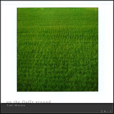 on the fluffy ground Front Cover