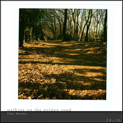 walking on the golden road Front Cover