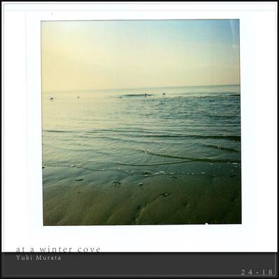 at a winter cove Front Cover