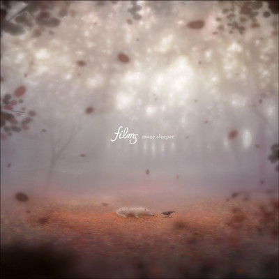 maze sleeper Front Cover