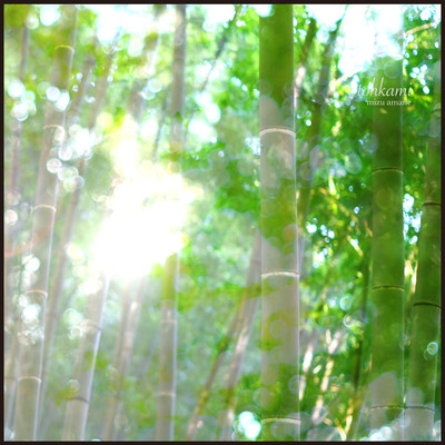 tohkami (feat. Anoice, Takahiro Kido, Yuki Murata & Ayako Kanisasare) Front Cover
