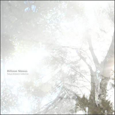 Different Silences Front Cover