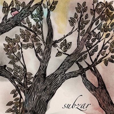 subzar Front Cover
