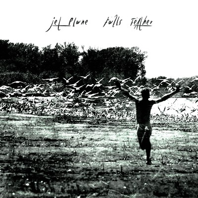 Falls Featherのジャケット写真