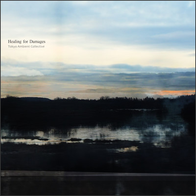 Healing for Damages Front Cover