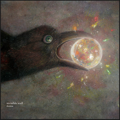invisible wallのジャケット写真