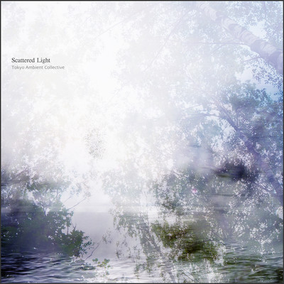 Scattered Light Front Cover