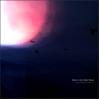 Glow in the Dark Moon Front Cover