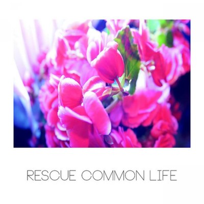 Resue Common Life Front Cover