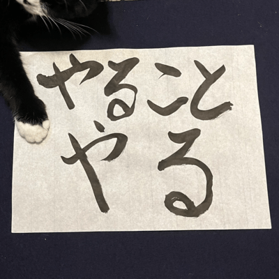 やることやるのジャケット写真