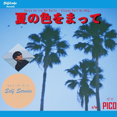 Natsu No Iro Wo Matte -Please Tell Me Why- Front Cover