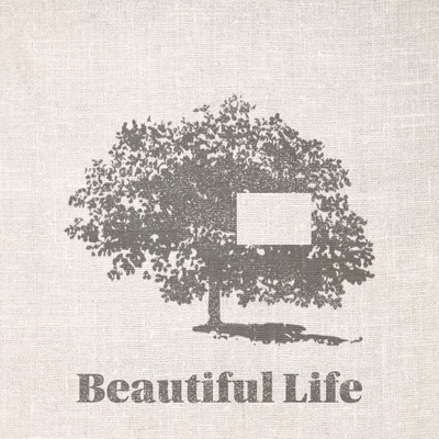 Beautiful Lifeのジャケット写真