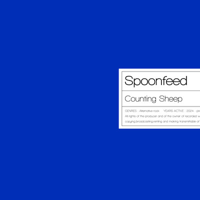 Counting Sheep Front Cover