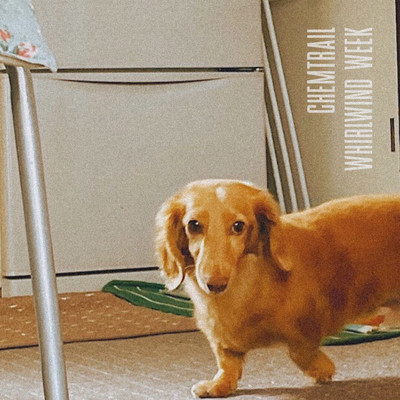 WHIRLWIND WEEKのジャケット写真