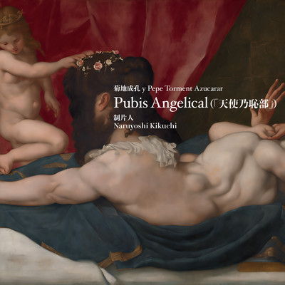 Pubis Angelical Front Cover