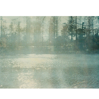 laikadaydream #1 Front Cover