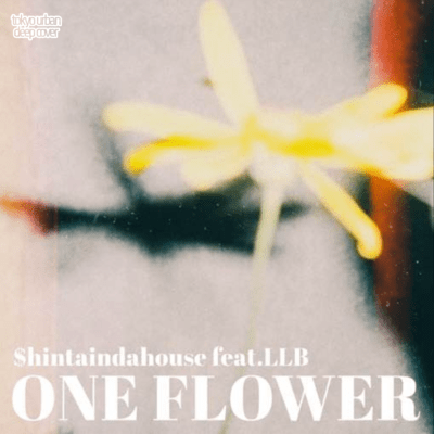ONE FLOWER (feat. LLB)のジャケット写真