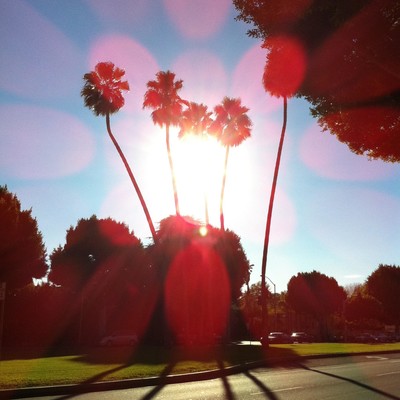 Freedomのジャケット写真