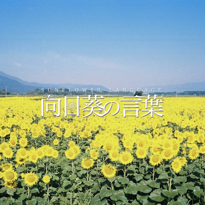 Sunflower language Front Cover