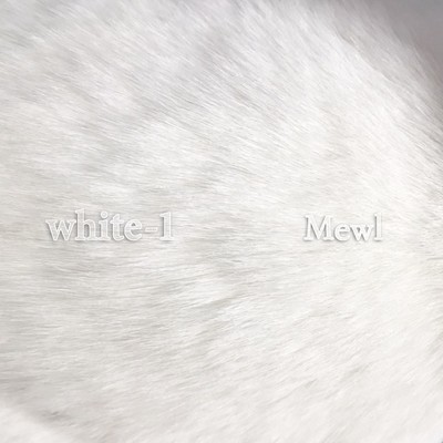 white (-1)のジャケット写真