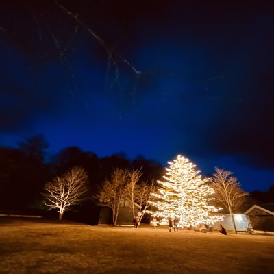 1 piece of happiness Front Cover