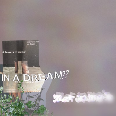 IN A DREAM?? Front Cover
