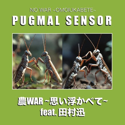 NO WAR ~OMOIUKABETE~ (feat. Shun Tamura) Front Cover
