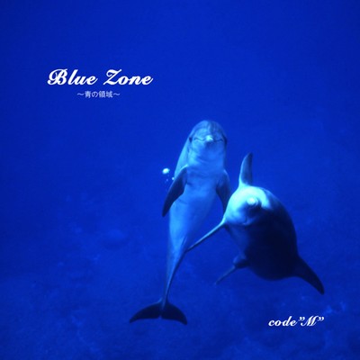 Blue Zone Front Cover