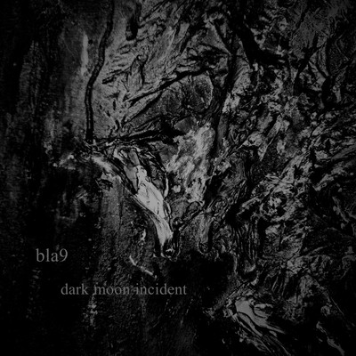 dark moon incident Front Cover
