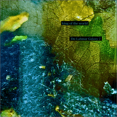 king of the world Front Cover