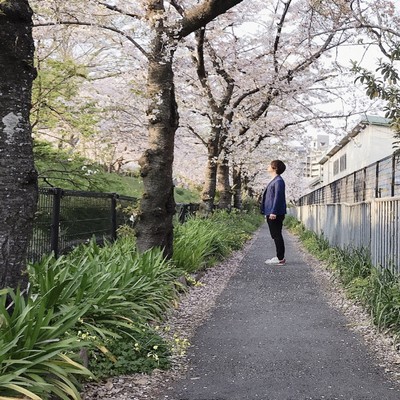 花びらが舞う季節に君を想うのジャケット写真