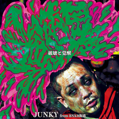 Destruction And Awakening Front Cover