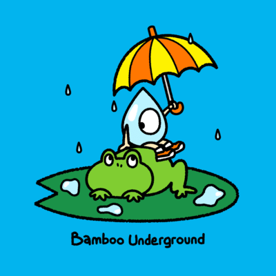 Raindrops Front Cover