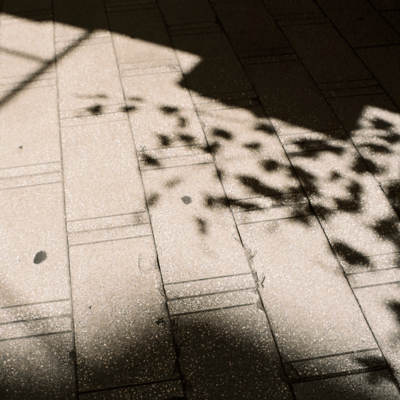 The Future Front Cover