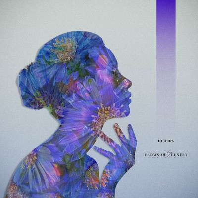 in tears Front Cover