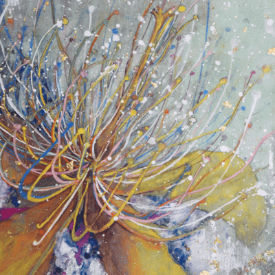 キメラカナデノキのジャケット写真