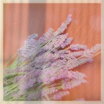 美しい名のジャケット写真