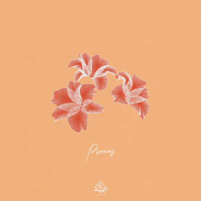 Preciousのジャケット写真