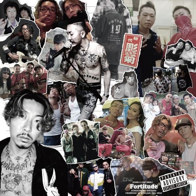 Fortitudeのジャケット写真