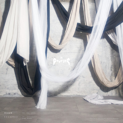 sonzaisyoumei / tototo, kamatoto Front Cover