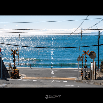 だけど夏なんて嫌いでのジャケット写真