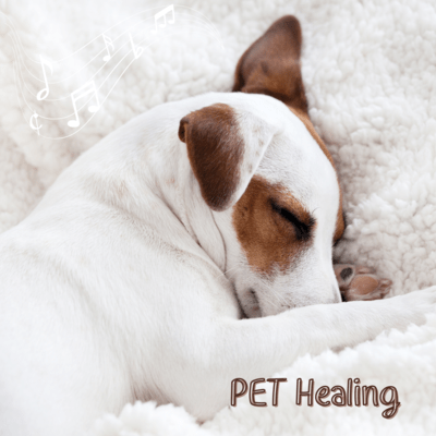 Pet Healing Front Cover