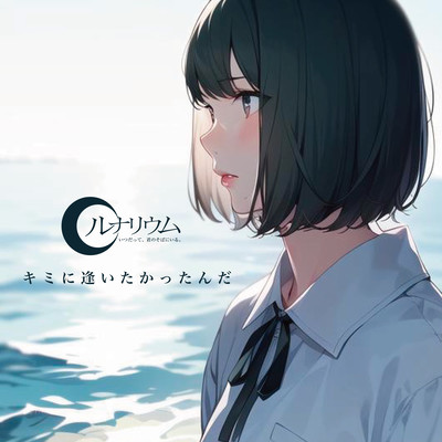 kiminiaitakattannda Front Cover