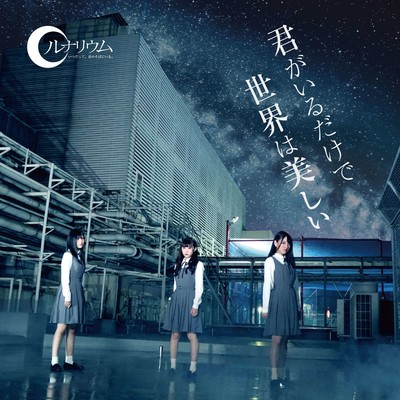 kimigairudakedesekaiwautukushii Front Cover