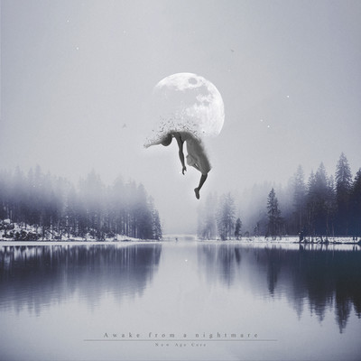 Awake from a nightmare Front Cover