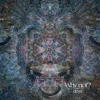 Why not? Front Cover